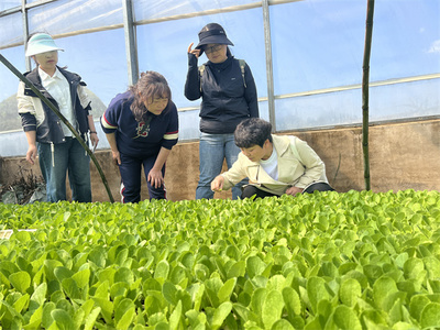 省級科技特派員下沉平壩，春季科技服務助力農(nóng)業(yè)病蟲害精準防治
