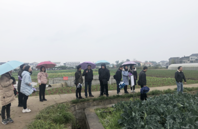 機關聯科研 黨建促發展 蔬菜研究黨支部與市農業農村局機關第七支部聯合開展農業病蟲害防治黨建活動