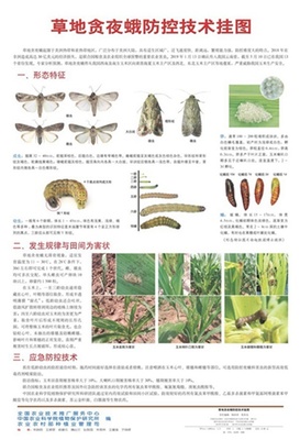 農業農村部出版《秋黏蟲防控技術掛圖》，擴大宣傳助力阻擊保安全
